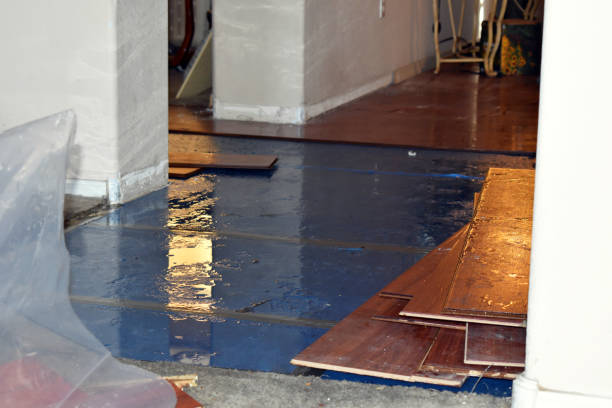 Professional Basement Flood Cleanup technician working in Canajoharie, NY